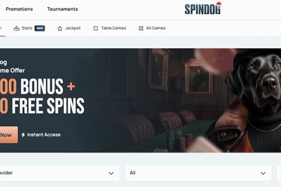 Spindog Casino Mobile App: Download APK for iOS and Android